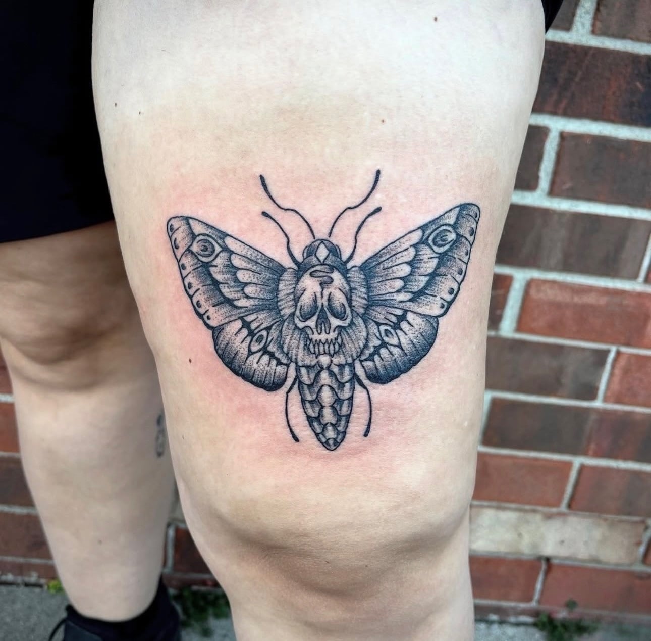 Taylor death head moth tattoo portfolio