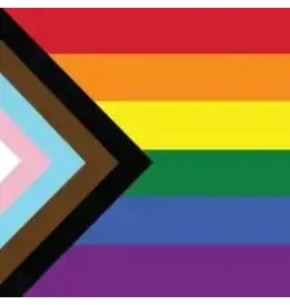 Jumbo Magnet Pride Pride Progress Flag