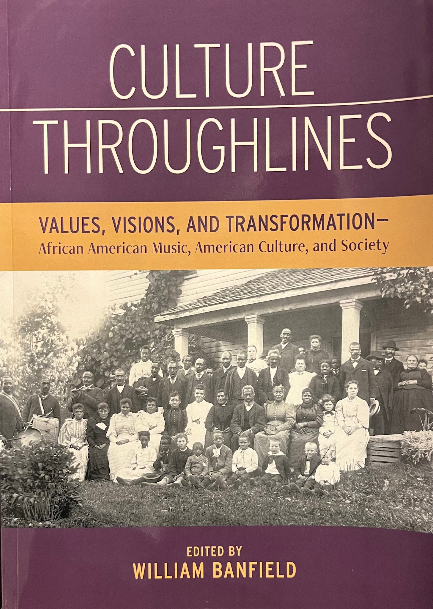 Culture Throughlines: Values, Visions and Transformations - African American Music, American Culture, and Society (Used Book) - Banfield