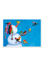Allport Editions Puzzle- Birdies & Snowman 500pc
