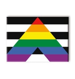 Pride Ally Magnet