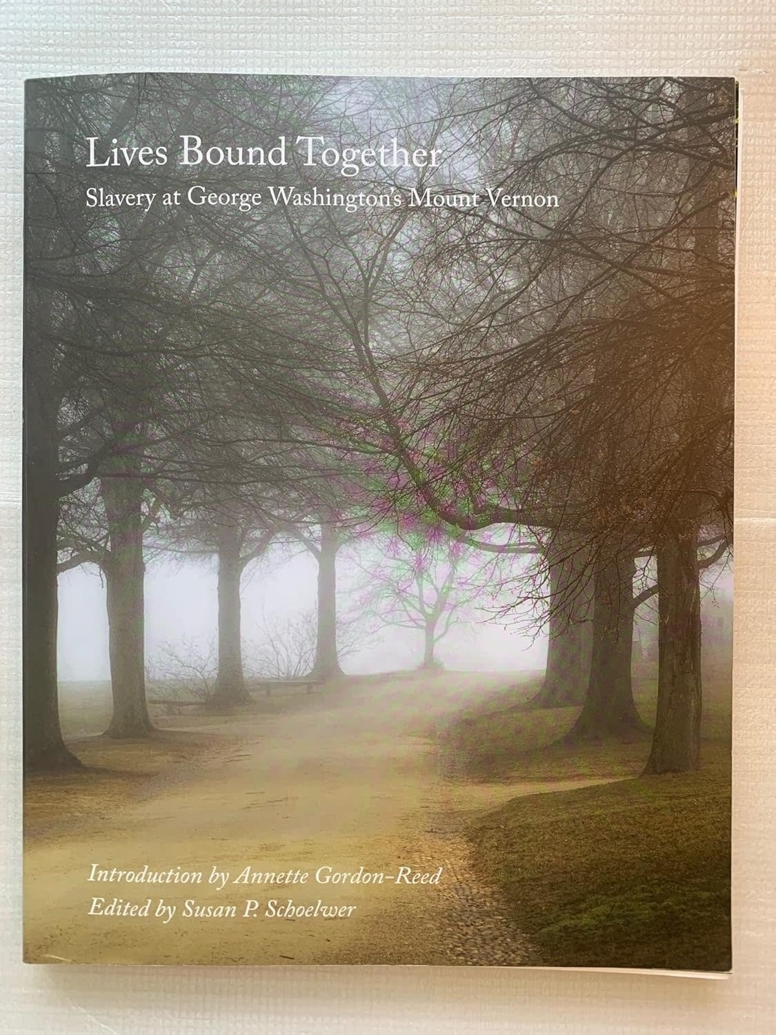Lives Bound Together : Slavery at George Washington's Mount Vernon ( pb )  -