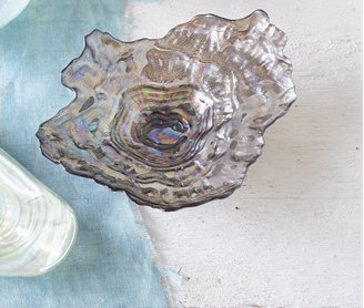 Oyster Shell Dish, Assorted
