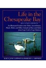 Johns Hopkins University Press Life in the Chesapeake Bay: An Illustrated Guide