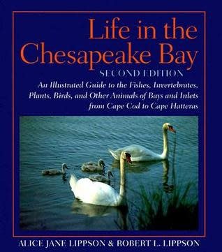 Johns Hopkins University Press Life in the Chesapeake Bay: An Illustrated Guide