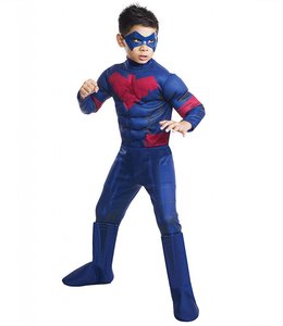 Rubies Costumes Nightwing