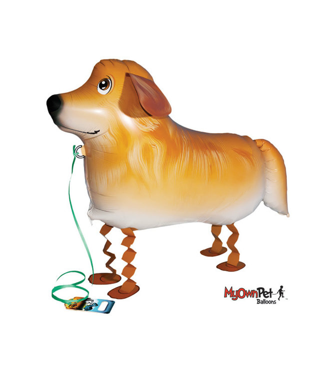 Burton & Burton My Own Pet Balloon-Golden Retriever