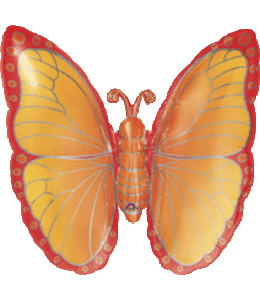 Anagram 25 Inch Mylar Balloon Butterfly Citrus