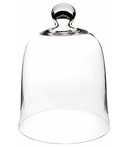 R. Nichols Glass Bell Jar