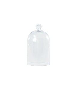 R. Nichols Grand Glass Bell Jar