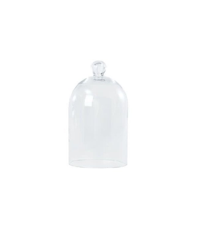 R. Nichols Grand Glass Bell Jar
