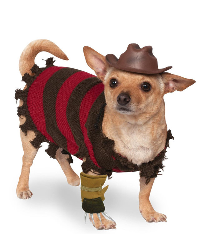 Rubies Costumes Freddy Kruger-Pet Costume  XL/Pet