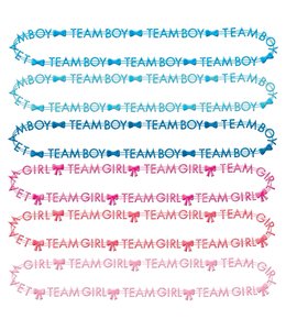 Amscan Inc. Gender Reveal Team Boy/Team Girl Necklaces 30 Inches 10/pk
