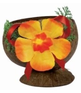 Amscan Inc. Coconut Cup With Flitter Authentic
