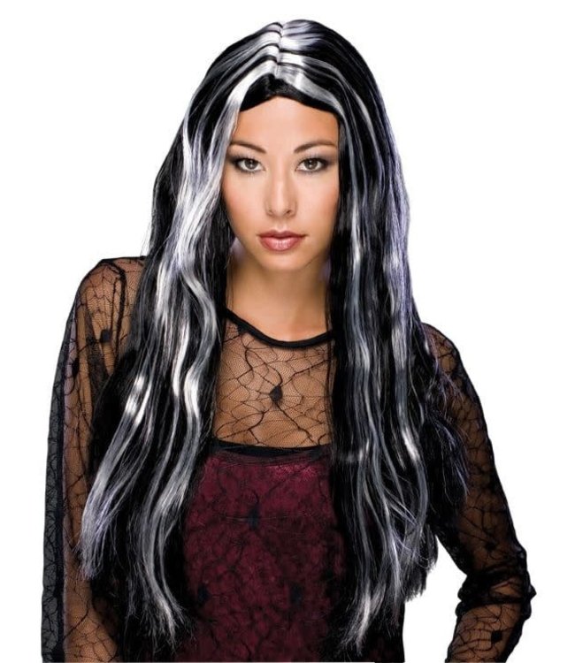 Rubies Costumes 24 Inch Witch Wig-Black/Grey Streak