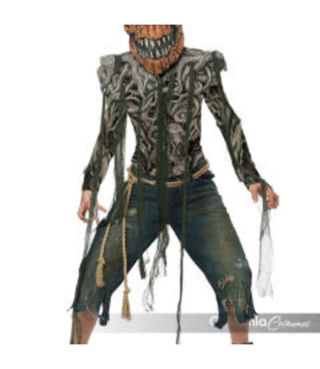 California Costumes Pumpkin Creature Boy Costume