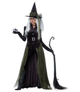 California Costumes Gothic Witch Women's Costume