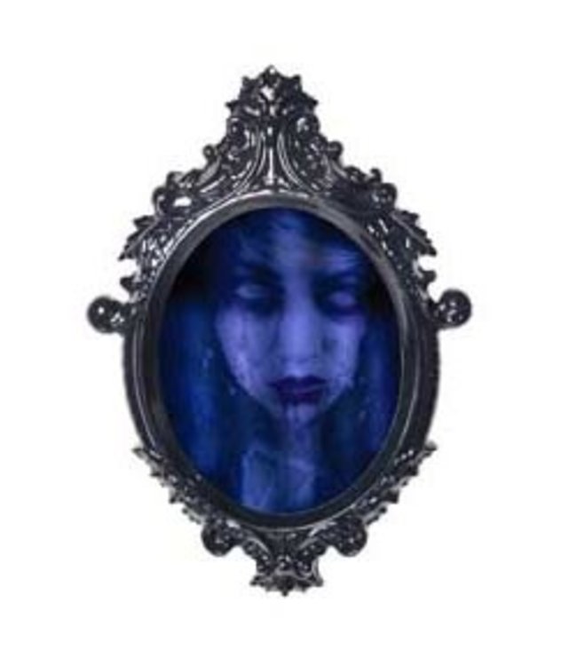 Rubies Costumes Haunted Mirror