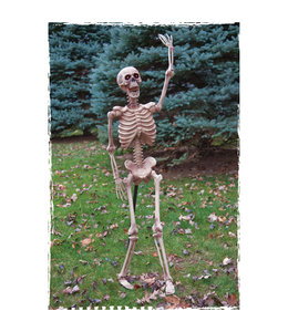 Rubies Costumes Light Up Lawn Stake Skeleton