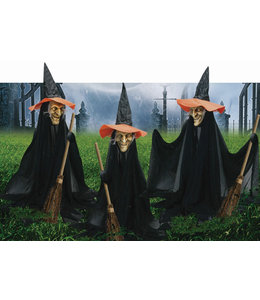Rubies Costumes Witchly Group