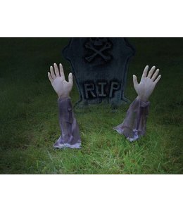 Rubies Costumes Zombie Arm Lawn Stakes (2Pcs)