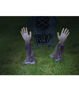 Rubies Costumes Zombie Arm Lawn Stakes(2Pcs)