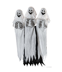 Rubies Costumes Ghostly Trio