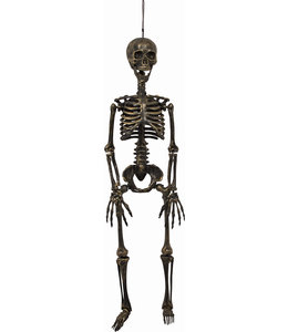 Rubies Costumes Hang.Gold Posable Skeleton-36 Inches