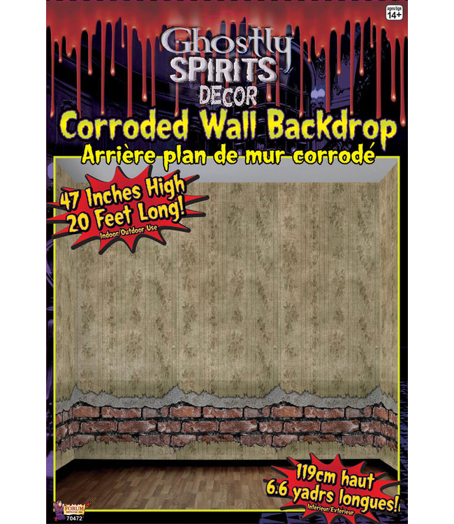 Rubies Costumes Ghostly Spirits-Corroded Wall