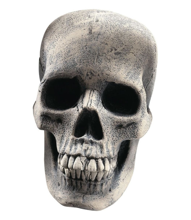Rubies Costumes Human Skull Prop