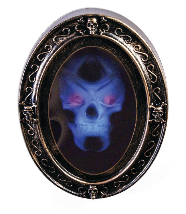 Rubies Costumes Haunted Portrait Sign With Sound & Light