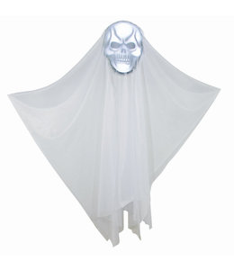 Rubies Costumes 60 inch Hanging light up Skull