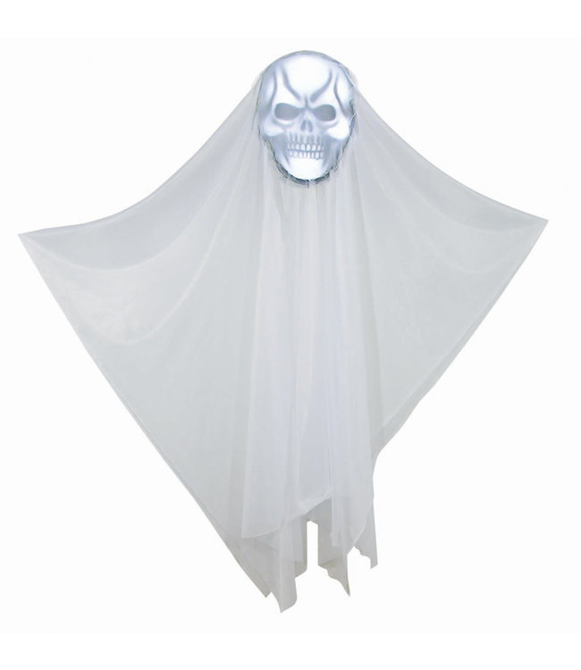 Rubies Costumes Hanging L/U 60" Skull