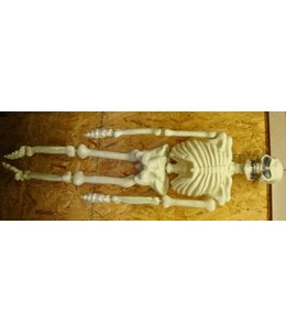 Rubies Costumes Giant 5 Foot GID Skeleton