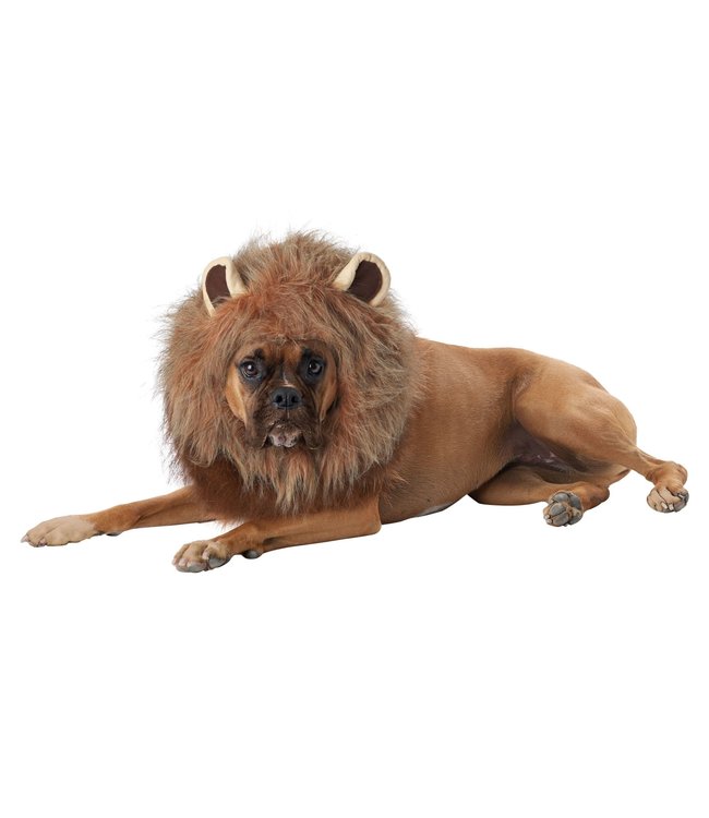 California Costumes King Of The Jungle Dog Costume