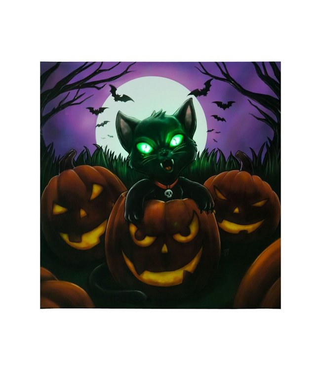 Rubies Costumes Light-Up Portrait Black Cat