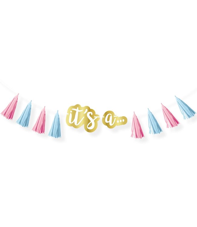 Amscan Inc. Gender Reveal Tassel Garland