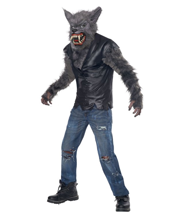 California Costumes Full Moon Fury Boys Costume