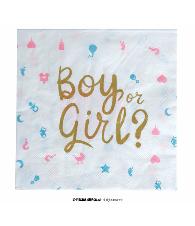 Fiestas Guirca Boy Or Girl Napkins 12/Pk