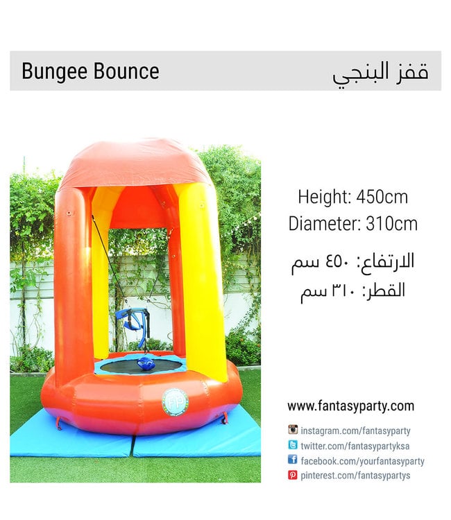 FP Party Supplies Bungee Bounce Rental