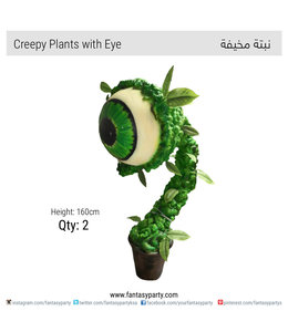 Monster Eye Plant Rental