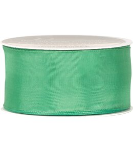 Wired Sheer Ribbon (4cmX3m)-Bright Green