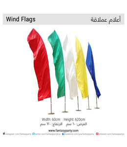 FP Party Supplies Wind Flags Rental/pc