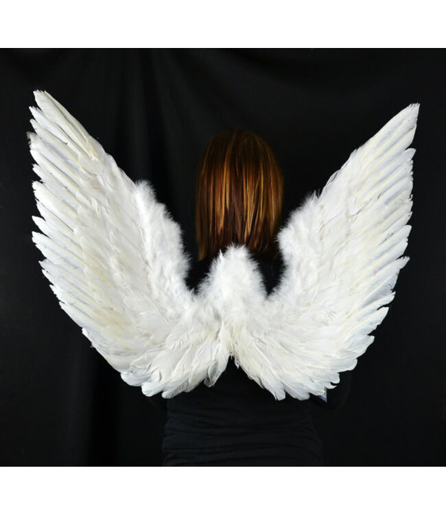 Midwest Design Imports White Feather Wing and Halo set 35x28" 1pc