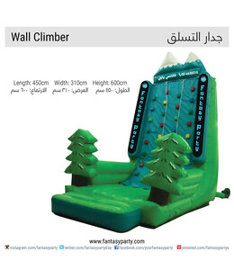 FP Party Supplies Wall Climber Inflatable Rental