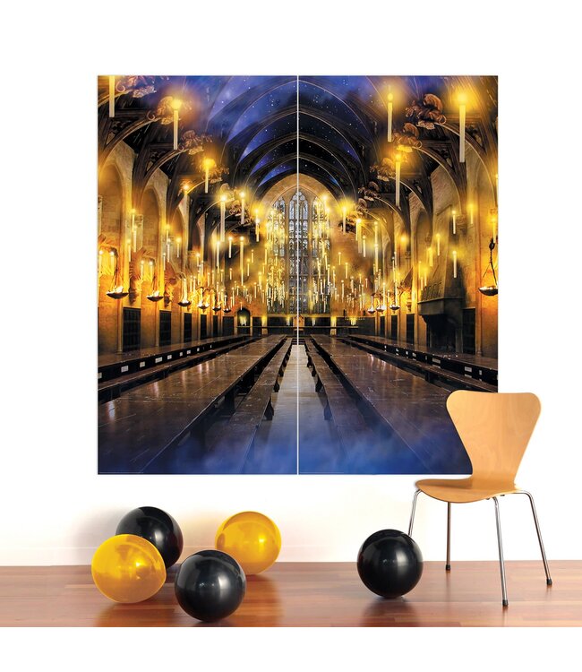 Amscan Inc. Harry Potter 2 Piece Back Drop