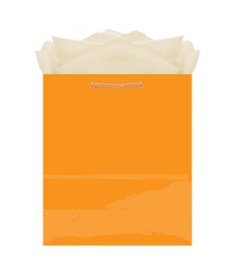 Amscan Inc. Medium Solid Glossy Bag (9 1/2H x 7 3/4W x 4 1/2D) inches-Orange Peel