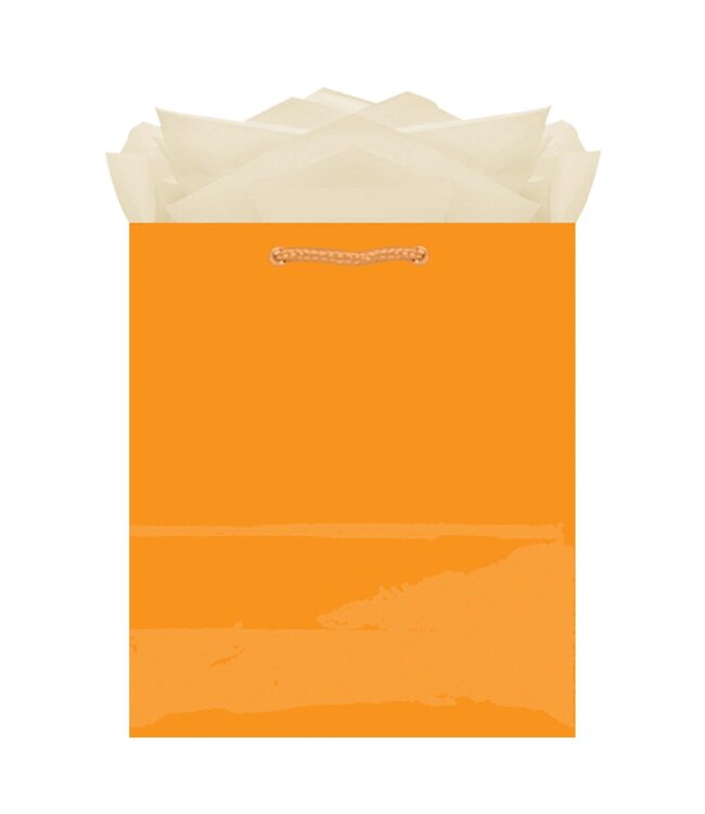 Amscan Inc. Orange Peel Medium Solid Glossy Bag
