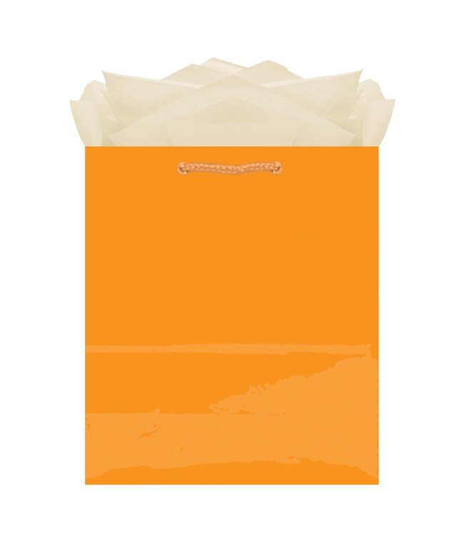 Amscan Inc. Medium Solid Glossy Bag (9 1/2H x 7 3/4W x 4 1/2D) inches-Orange Peel