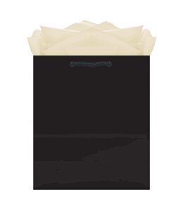 Amscan Inc. Medium Solid Glossy Bag (9 1/2H x 7 3/4W x 4 1/2D) inches-Black